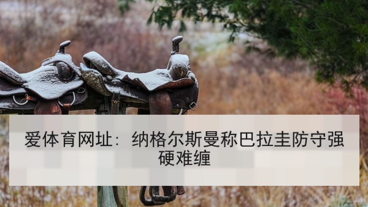 爱体育网址: 纳格尔斯曼称巴拉圭防守强硬难缠