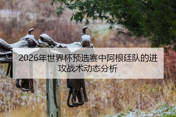 2026年世界杯预选赛中阿根廷队的进攻战术动态分析