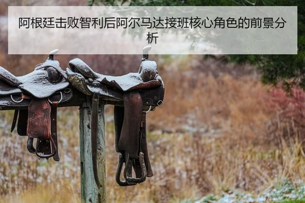 阿根廷击败智利后阿尔马达接班核心角色的前景分析