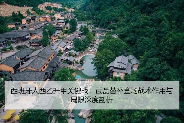 西班牙人西乙升甲关键战：武磊替补登场战术作用与局限深度剖析