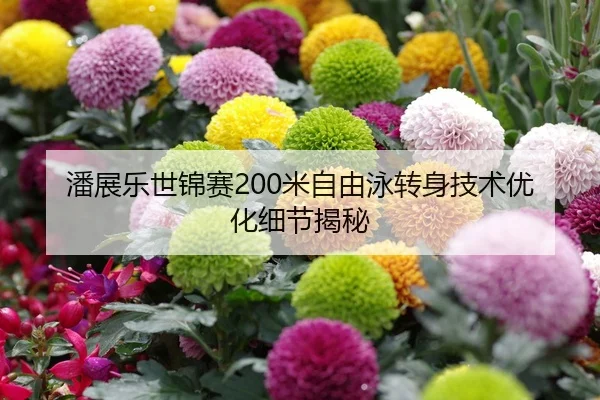 潘展乐世锦赛200米自由泳转身技术优化细节揭秘