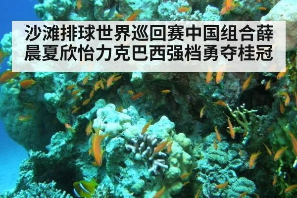 沙滩排球世界巡回赛中国组合薛晨夏欣怡力克巴西强档勇夺桂冠